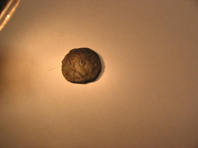 2004-05-04.11.25.41-1.jpg