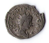 2006-08-28.16.37.07-1.jpg