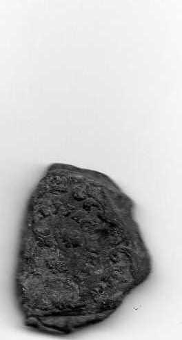 2007-06-05.13.04.07-2.jpg