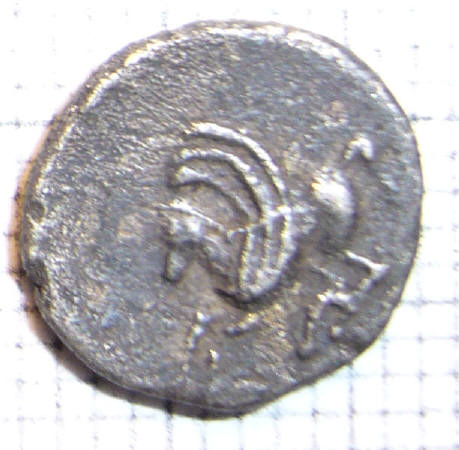 2008-02-29.17.44.41-2.jpg