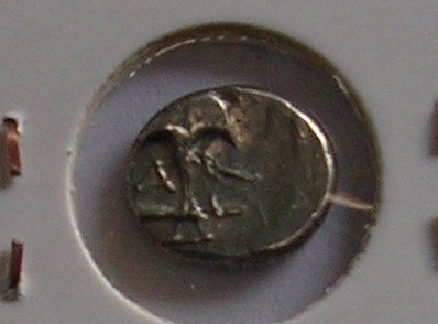 2008-11-08.15.19.59-2.JPG