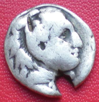 2009-11-29.12.34.46-1.jpg