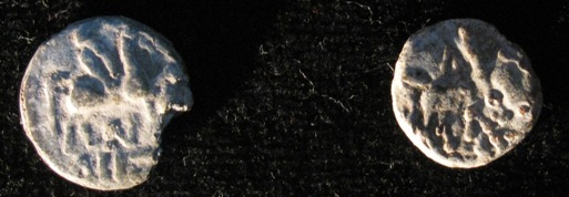 2010-07-20.20.04.16-1.jpg