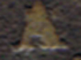 2010-07-29.18.20.12-2.jpg