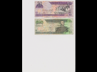 1373568265-dominicana1-001.png