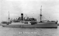 552d15ed59266.jpg