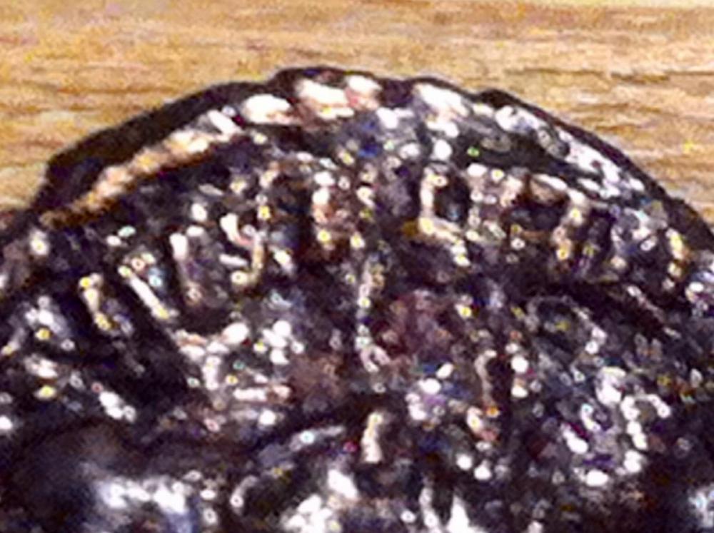 post-3712-0-22602300-1424475864_thumb.jp