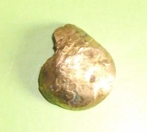 post-10129-1405500016,1051_thumb.jpg