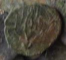 post-7122-1405500003,7036_thumb.jpg
