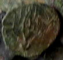 post-7122-1405500003,71_thumb.jpg