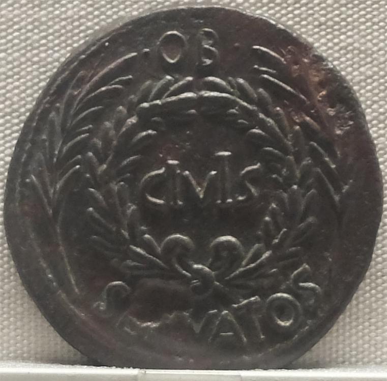 DSCF8536_1.jpg