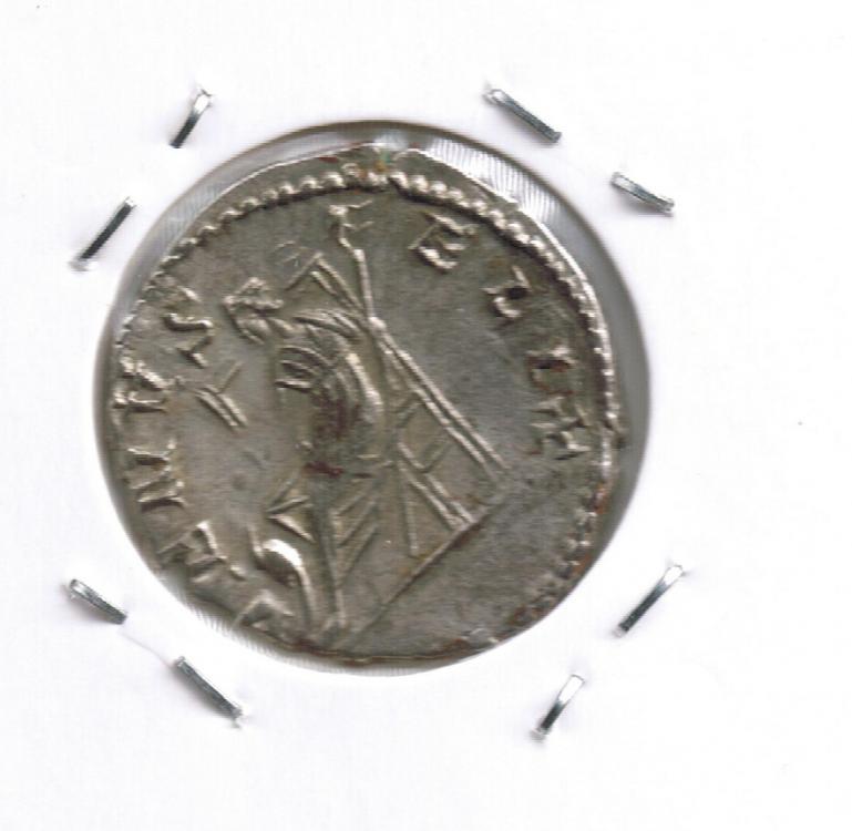 Image2.jpg