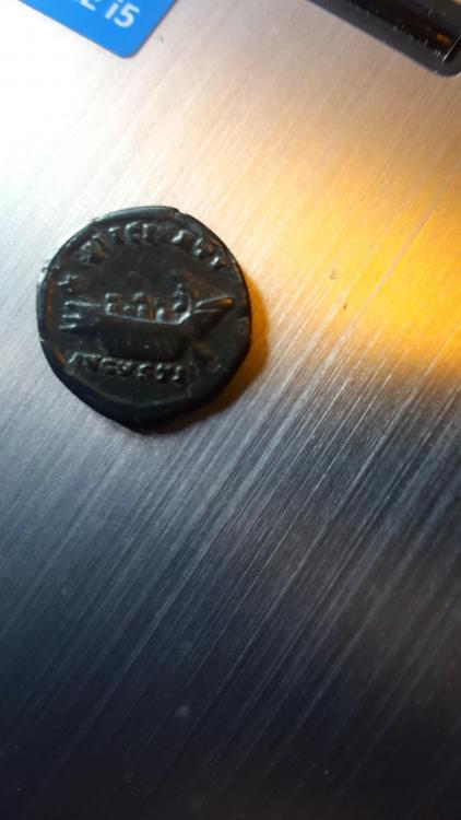 20160618_115140.jpg