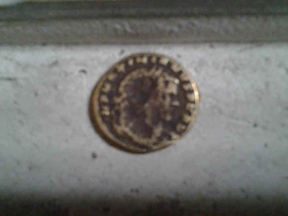 20140720_143345.jpg
