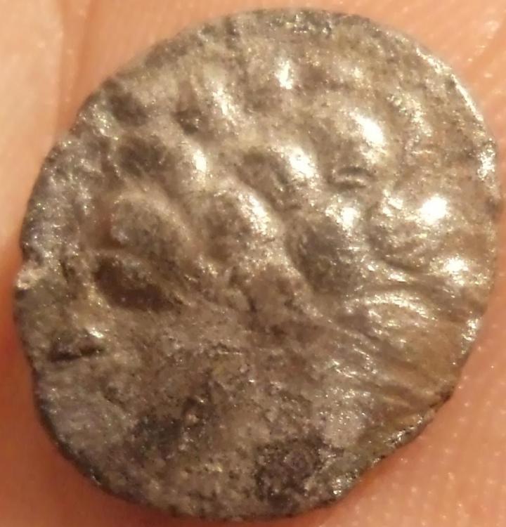 22352c.jpg