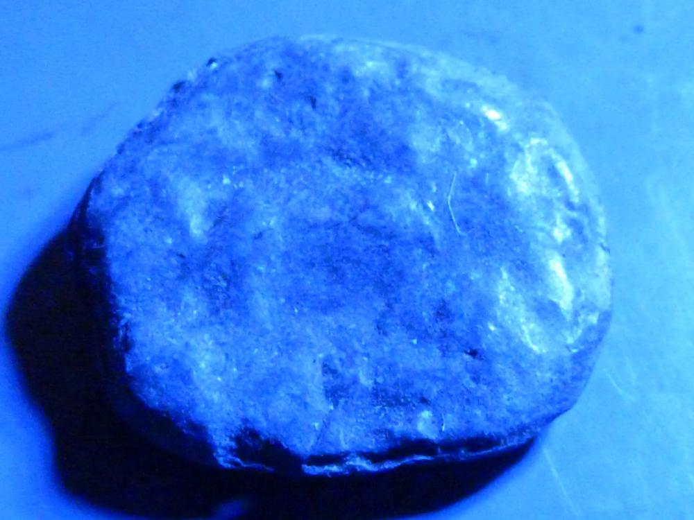 P1020411.JPG