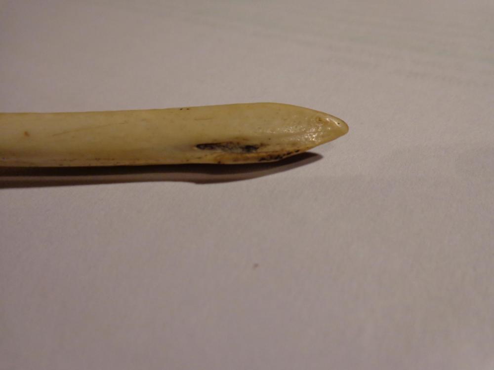 DSC02157.thumb.JPG.36deed07618c068f6335dec1a0bf7ebb.JPG