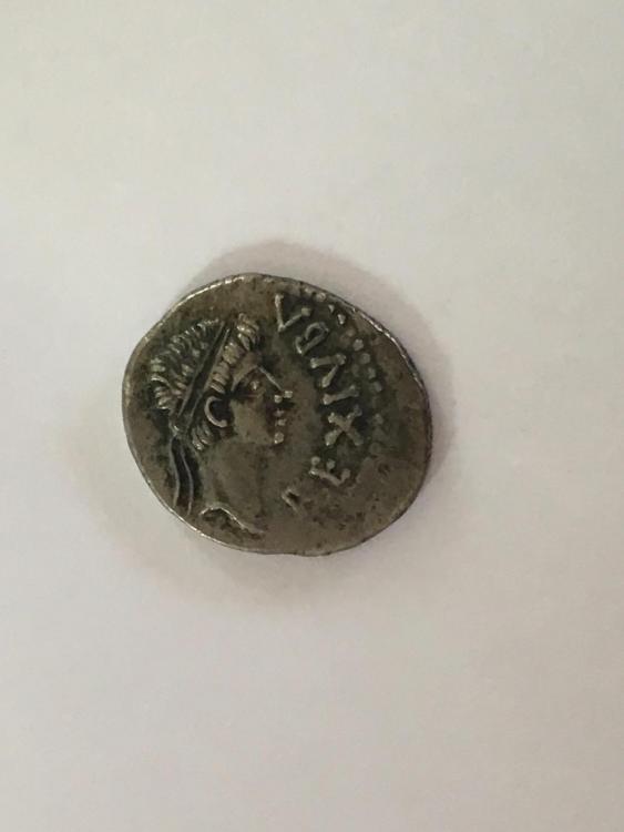 image1.JPG