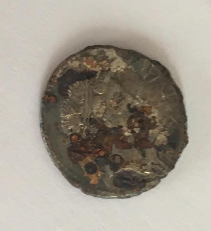 image1.JPG