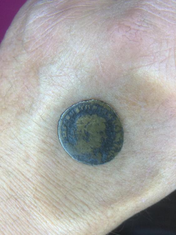 IMG_6287.JPG