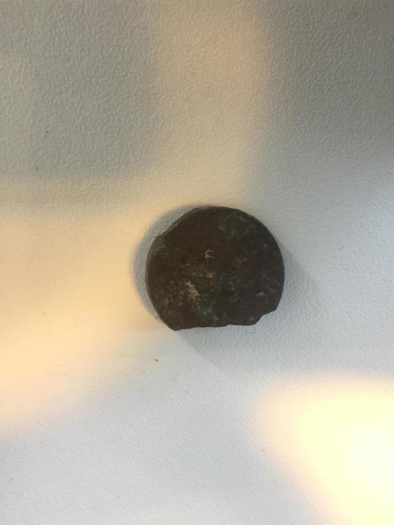 image1.jpeg