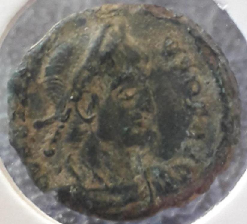 24697a.jpg