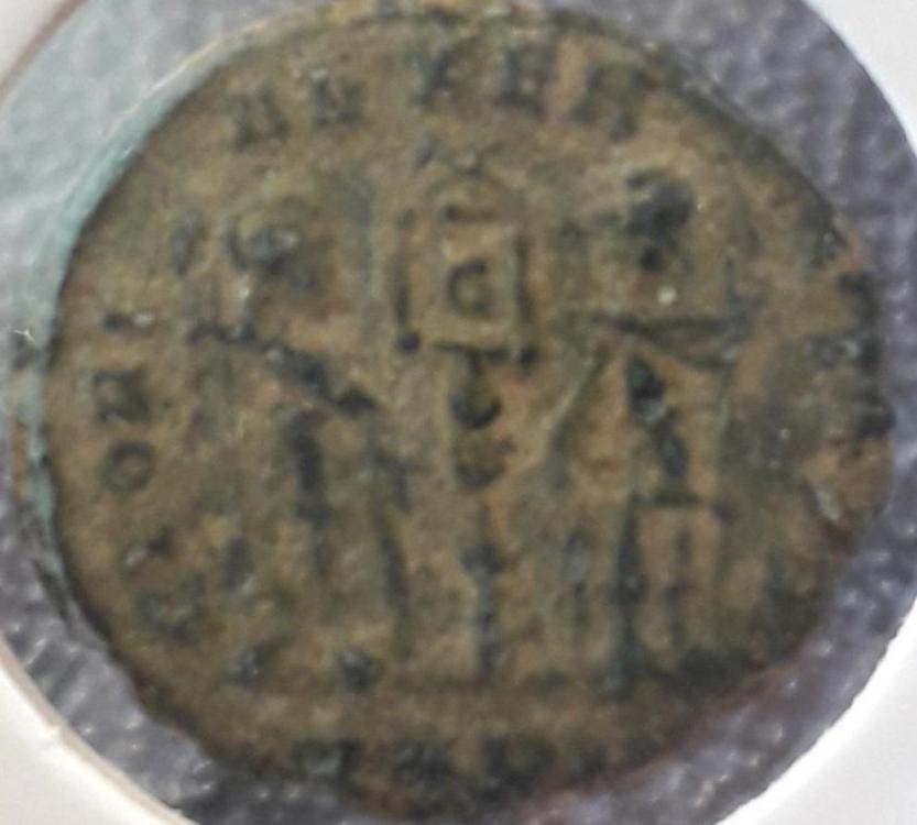 24697b.jpg