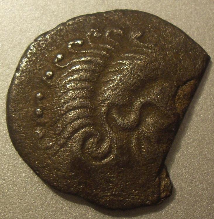 SDC11119.JPG
