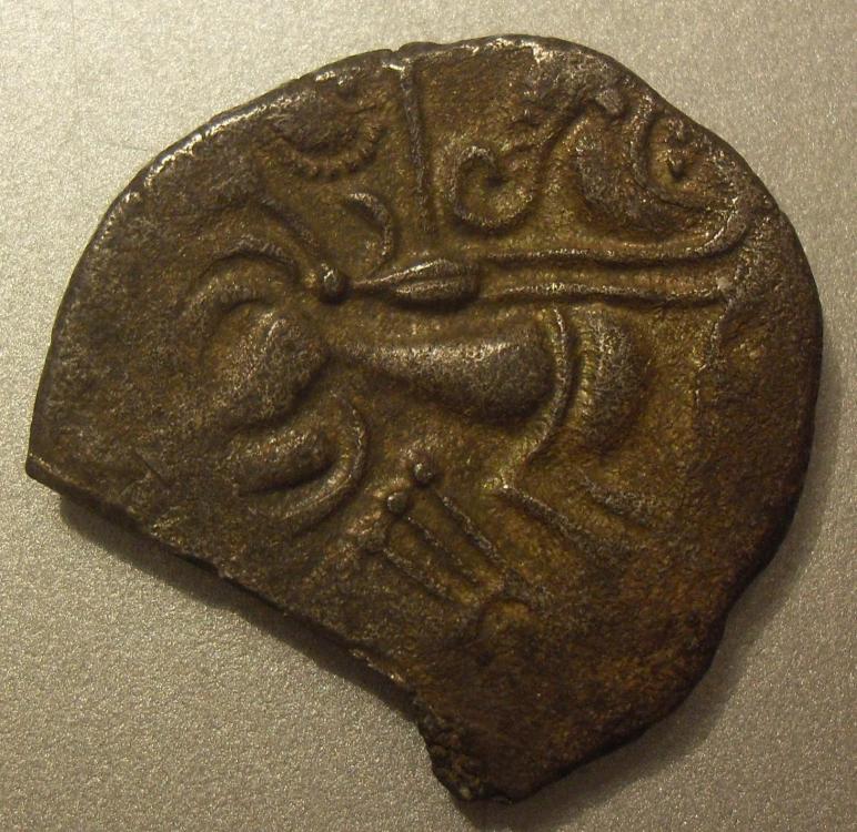 SDC11120.JPG