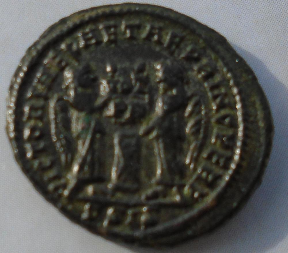 25167b.jpg