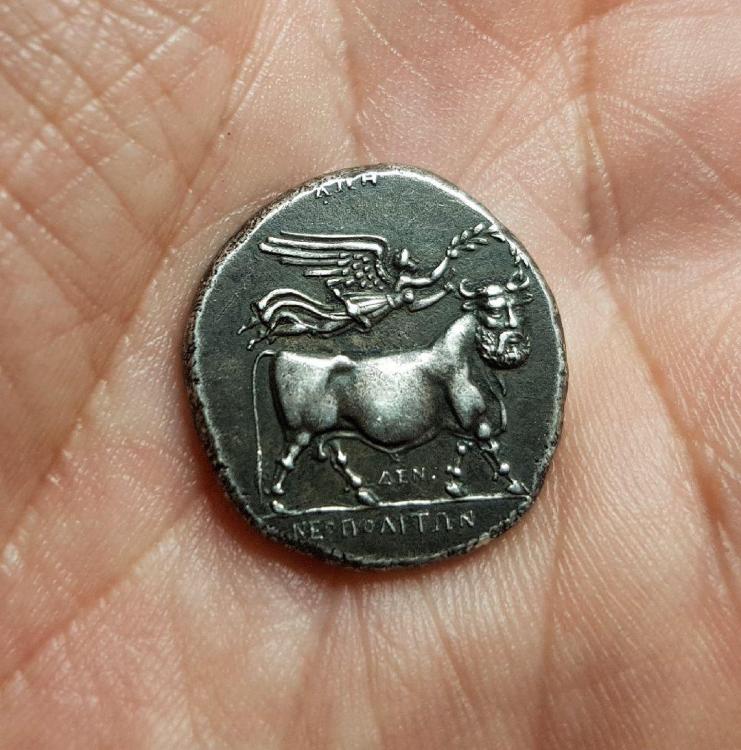 Revers drachme romaine.jpeg