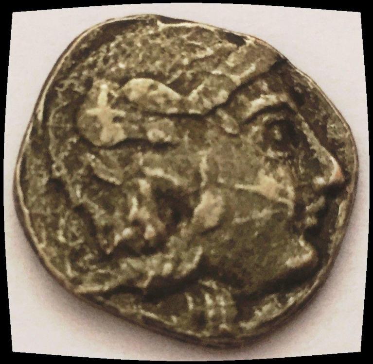 22925a.jpg