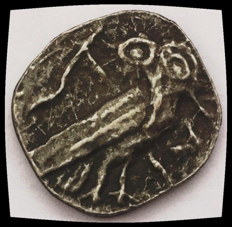 22925b.jpg