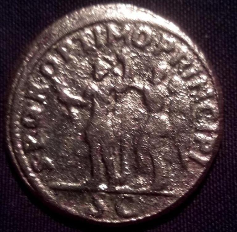 26094b.jpg