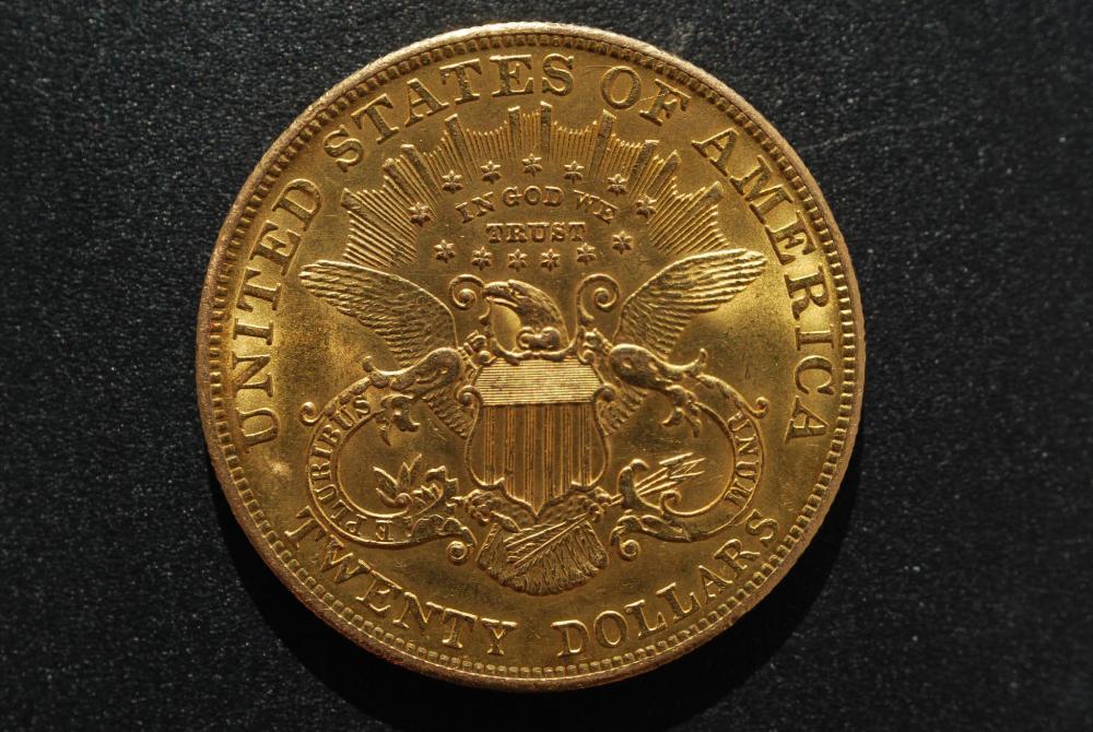 Liberty 20 dollar Tête 2000 (2).JPG