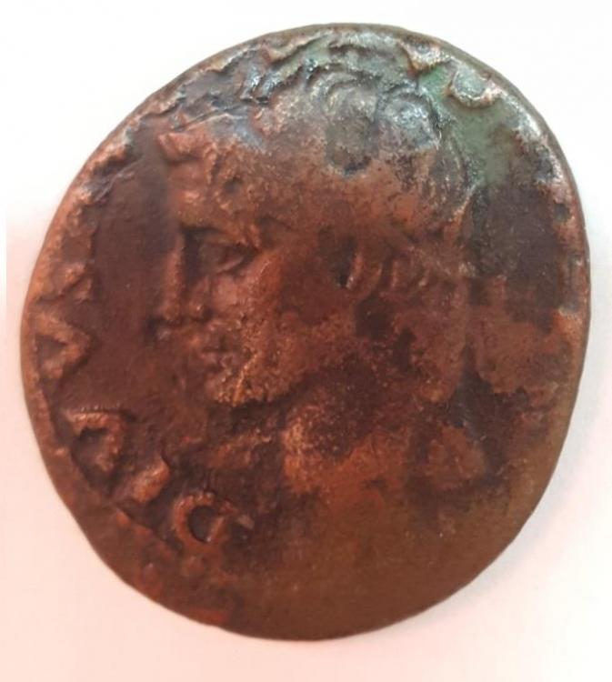 restitution de tiber 01.jpg