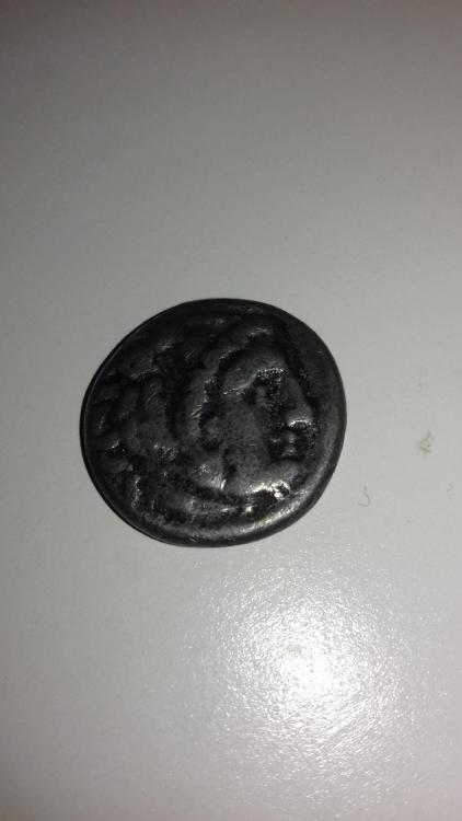 20180901_135831.jpg