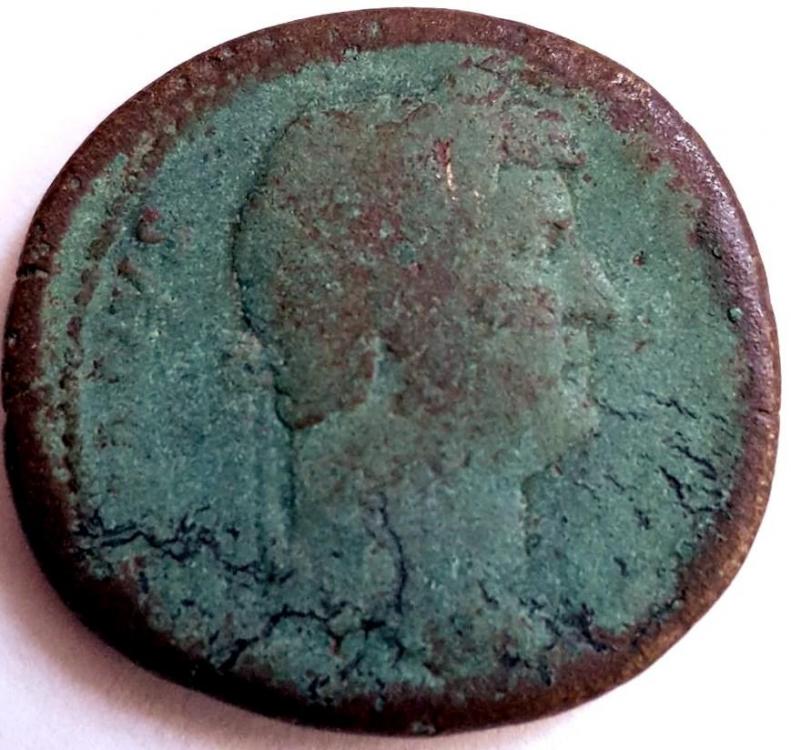 26846b.jpg