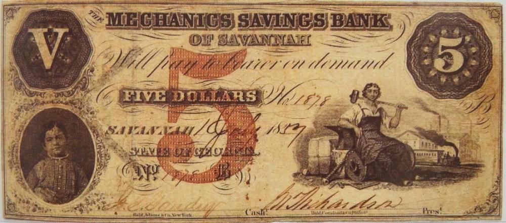 5be2f9e1acd86_005Savannah.thumb.JPG.cae2aeb47674d4b5cd45e8b28613e6d2.JPG