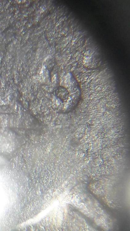 20181224_160705.jpg