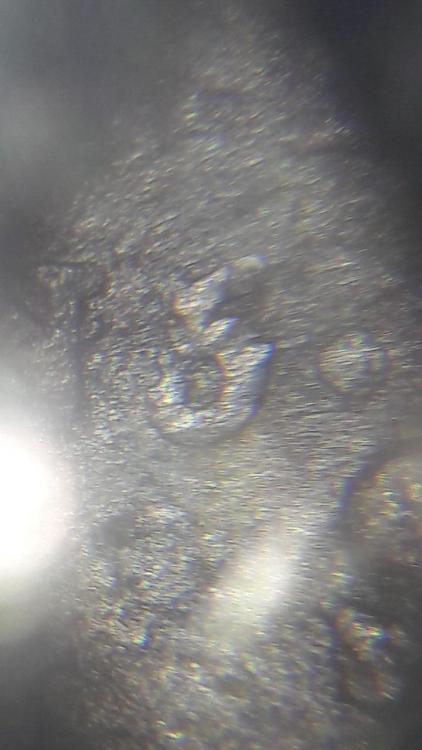 20181224_160841.jpg