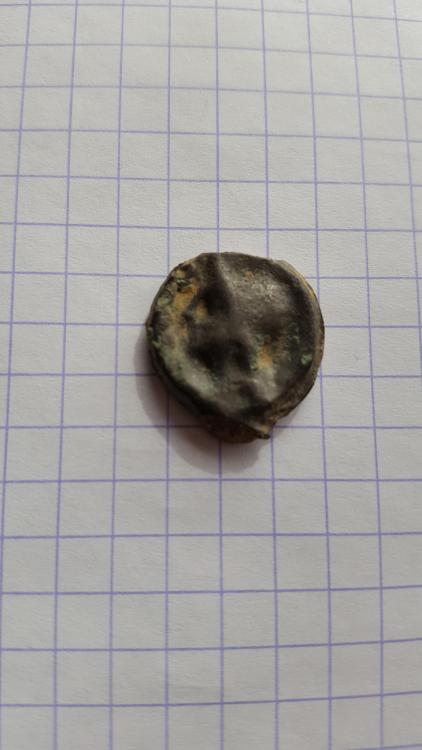 20190207_134706.jpg