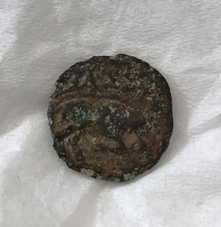 0826750A-489C-41A8-B87C-3EA8A05747F6.jpeg