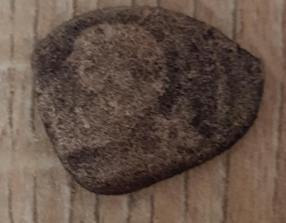 20190316_210647.jpg