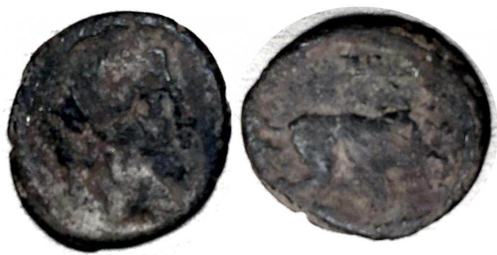 27673c.jpg