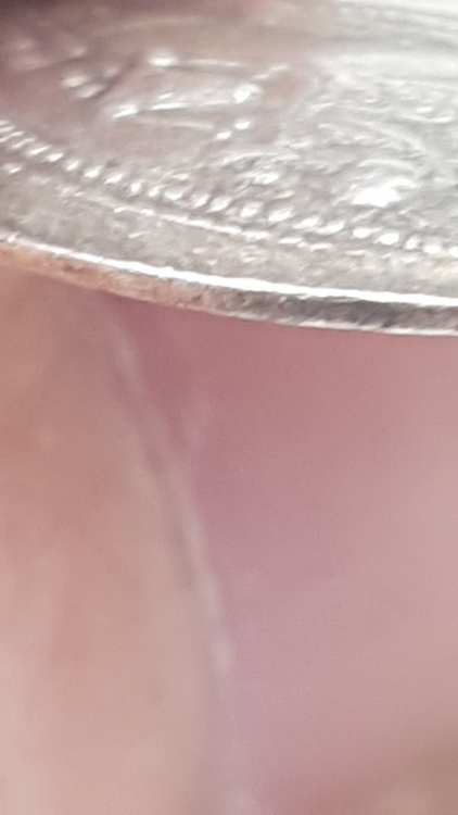 image.thumb.png.0ad3845a3f3b7743ccc70b5dbbb5e4e4.png