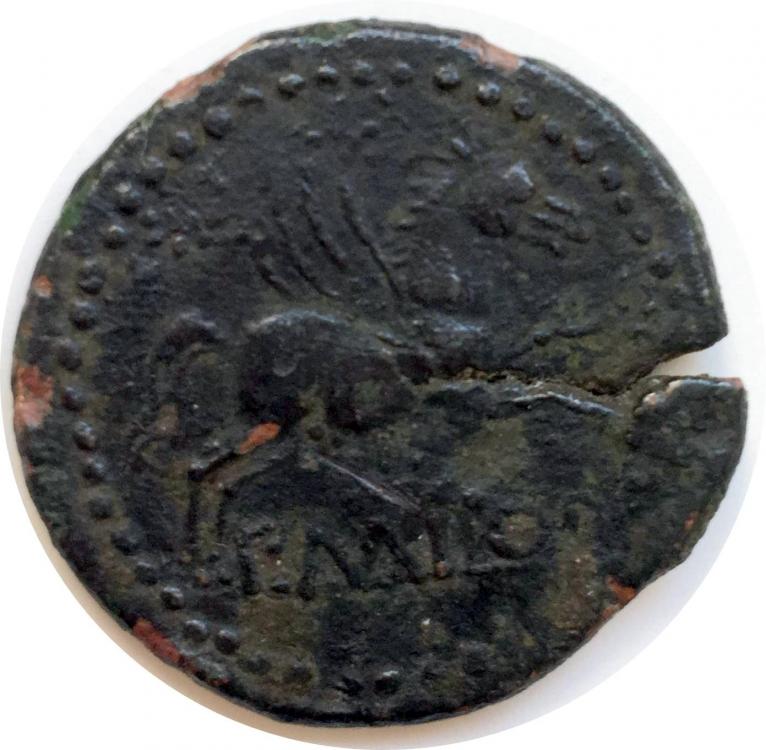 28116a.jpg