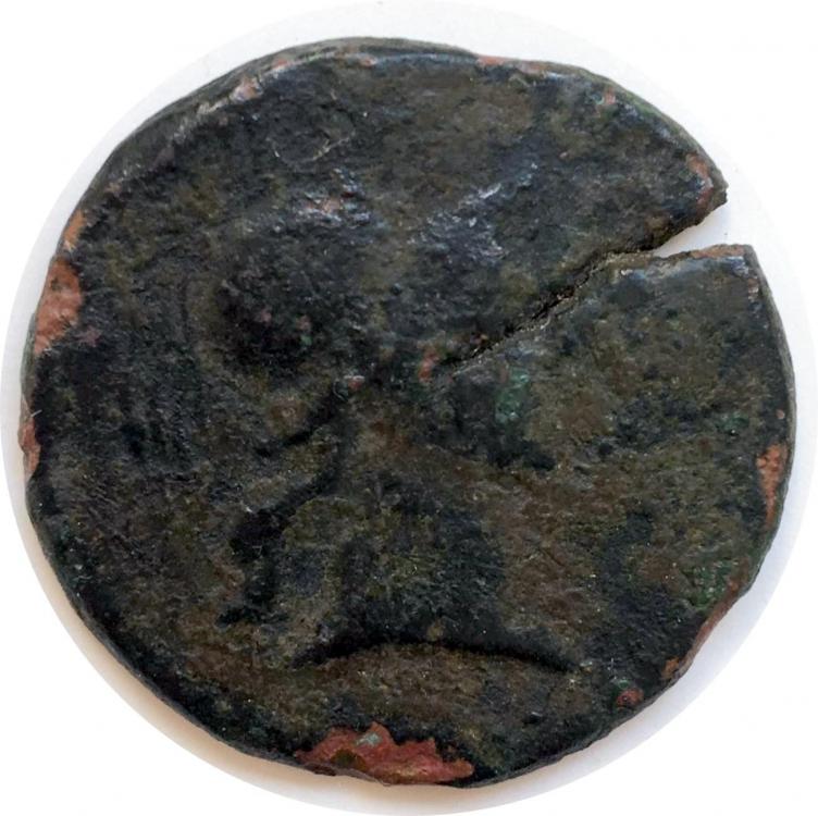 28116b.jpg