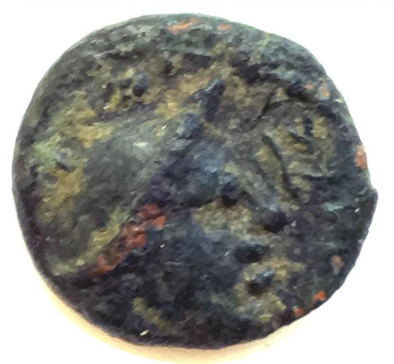 28118a.jpg