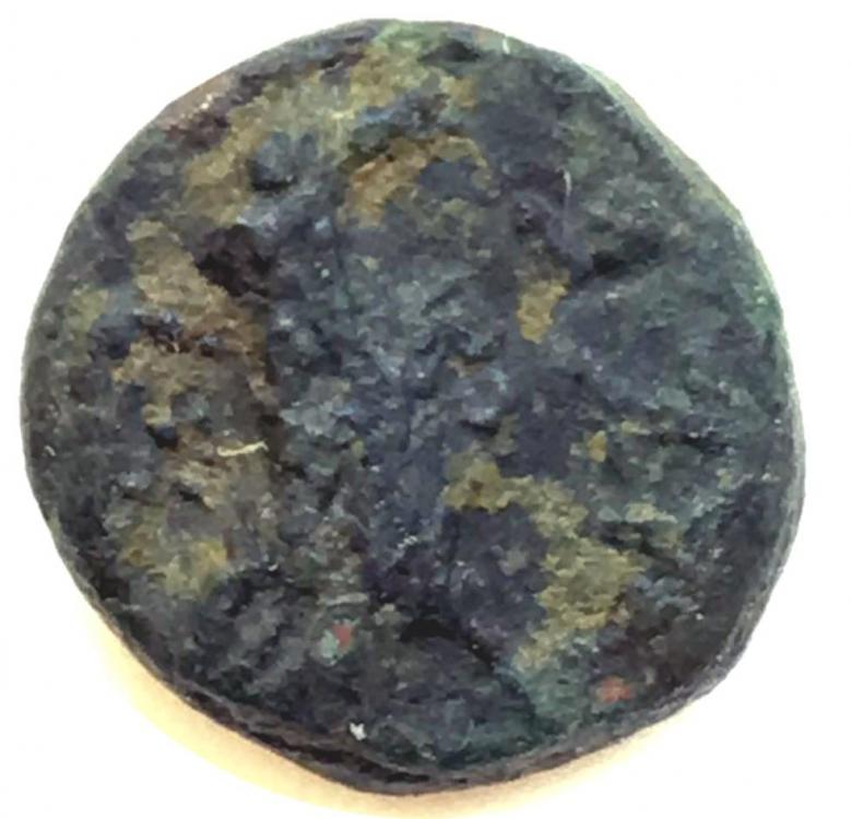 28118b.jpg